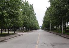 2004